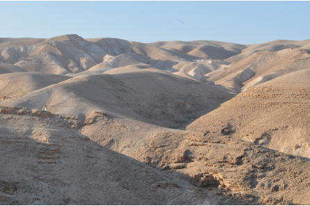 Wadi Qelt (Palestina) - Pustinjski pejsa 
