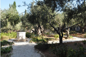Jeruzalem - Getsemanski vrt - Zdenac u sredini vrta